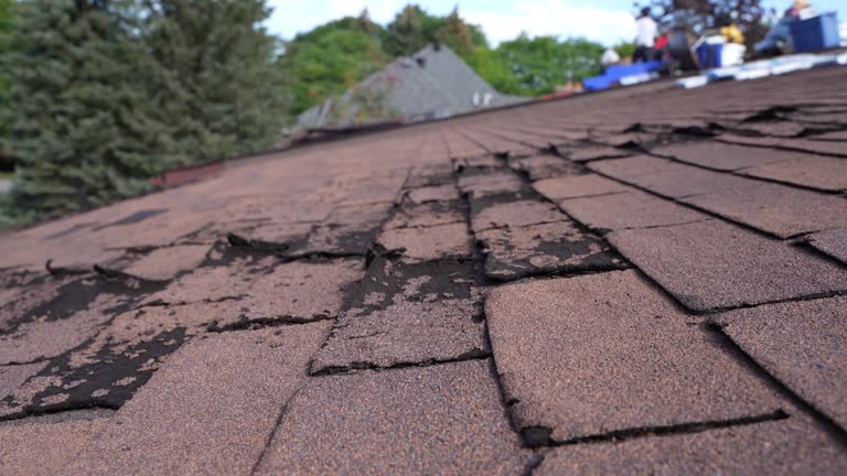 Best 4 Ply Roofing  in Zeeland, MI