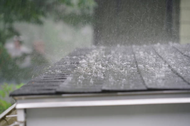 Best Cold Roofs  in Zeeland, MI
