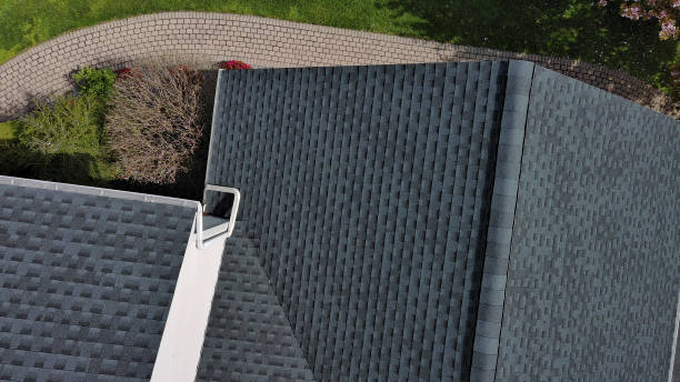 Best Roof Maintenance and Cleaning  in Zeeland, MI