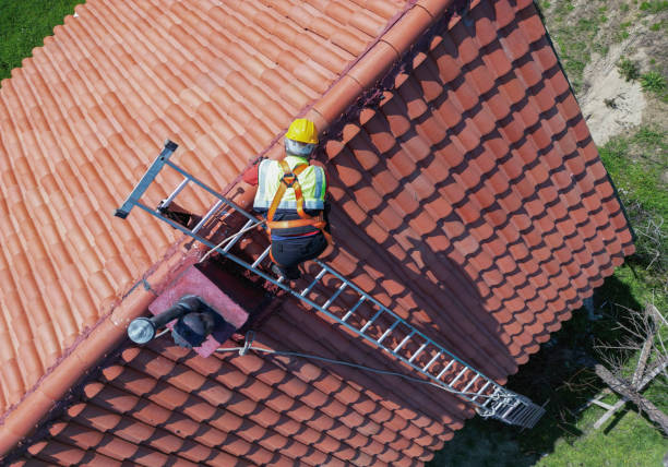 Best Skylight Installation and Repair  in Zeeland, MI